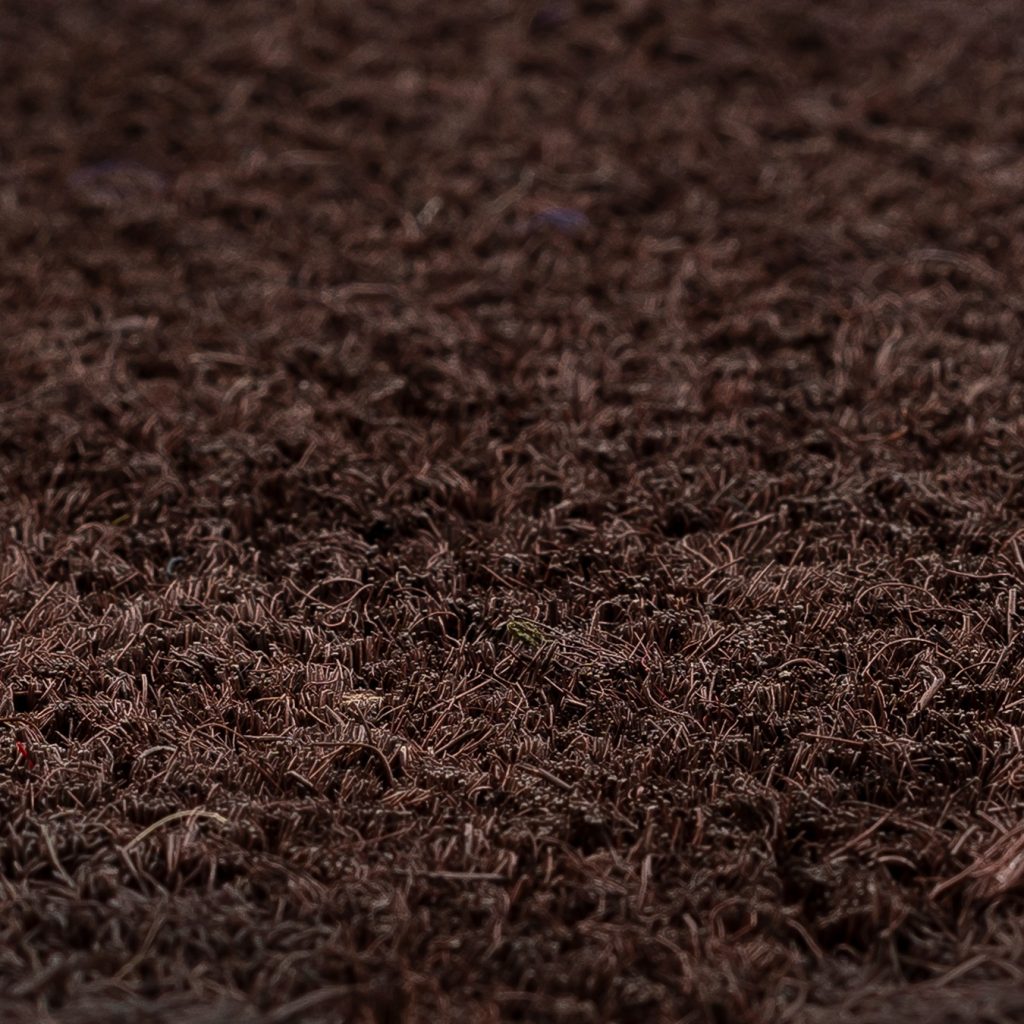 Zercocco